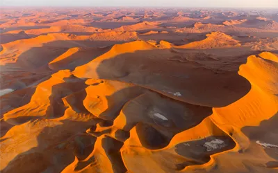Deadvlei clay pan with ancient camel thorn trees Namibia